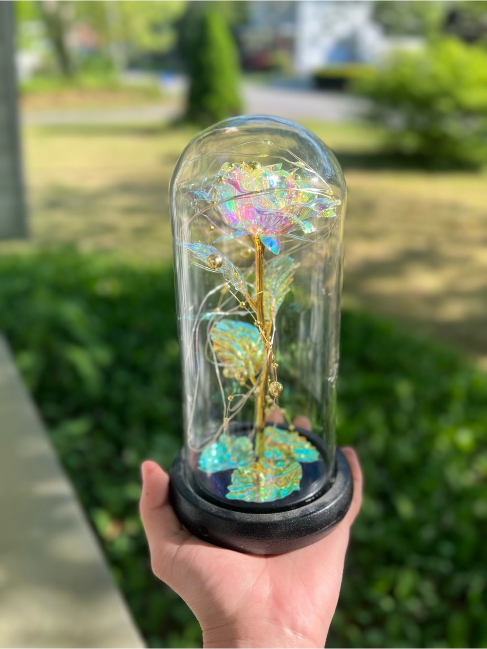 Iridescent LED Rose Dome